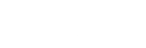 YNA Logo